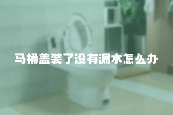 馬桶蓋裝了沒(méi)有漏水怎么辦