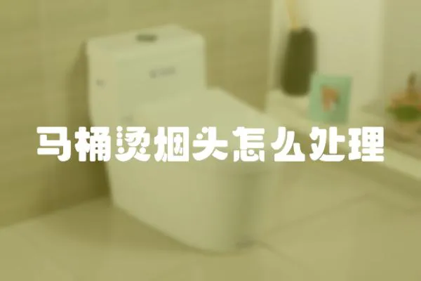 馬桶燙煙頭怎么處理