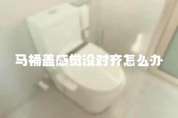 馬桶蓋感覺沒對齊怎么辦