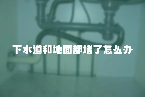 下水道和地面都堵了怎么辦