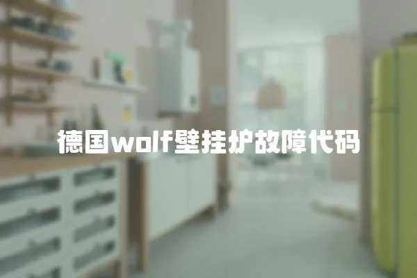 德國wolf壁掛爐故障代碼