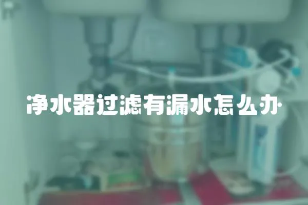 凈水器過濾有漏水怎么辦