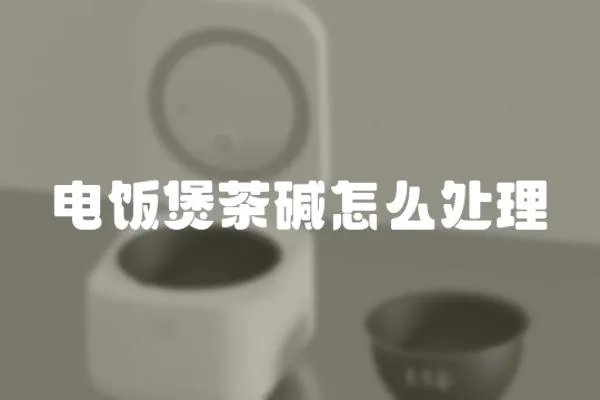 電飯煲茶堿怎么處理
