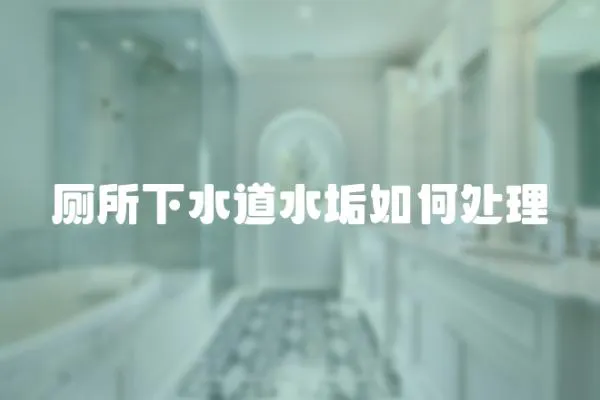 廁所下水道水垢如何處理