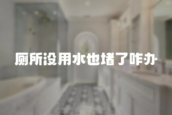 廁所沒用水也堵了咋辦