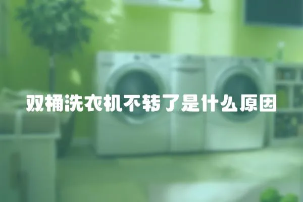 雙桶洗衣機不轉了是什么原因