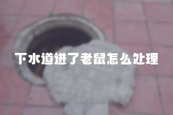 下水道進了老鼠怎么處理