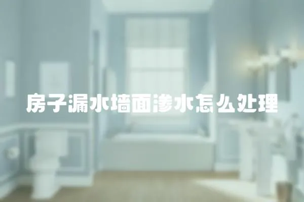 房子漏水墻面滲水怎么處理