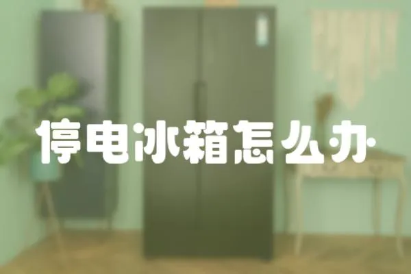 停電冰箱怎么辦