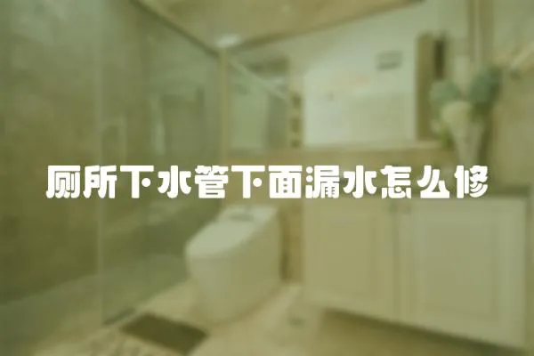 廁所下水管下面漏水怎么修
