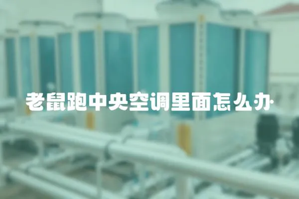 老鼠跑中央空調(diào)里面怎么辦