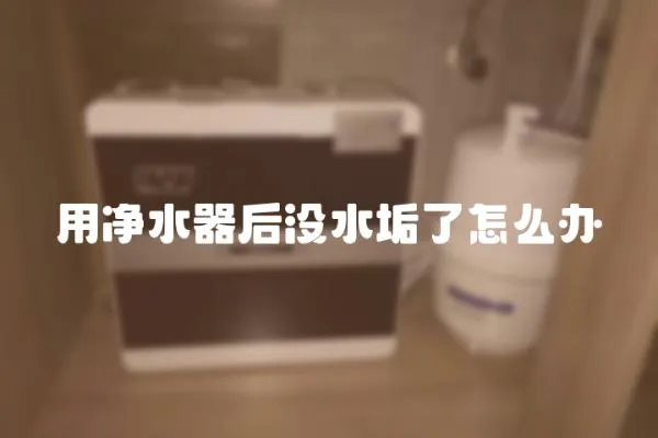用凈水器后沒水垢了怎么辦