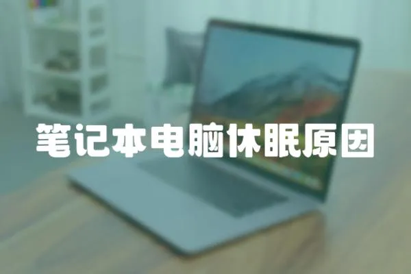 筆記本電腦休眠原因