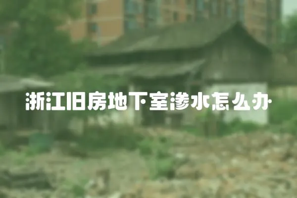 浙江舊房地下室滲水怎么辦
