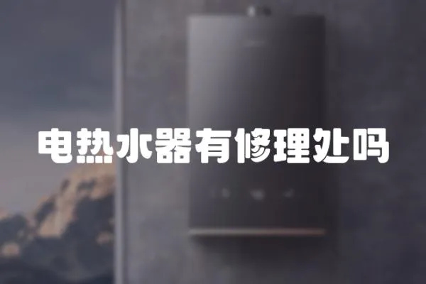電熱水器有修理處嗎