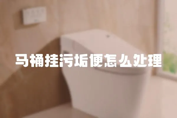 馬桶掛污垢便怎么處理
