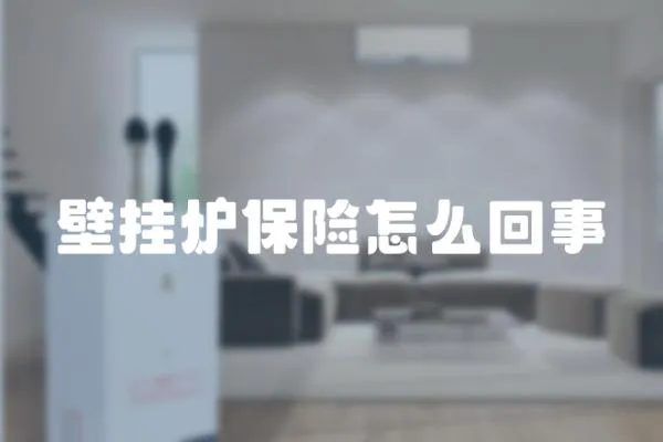 壁掛爐保險怎么回事