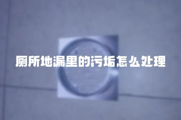 廁所地漏里的污垢怎么處理
