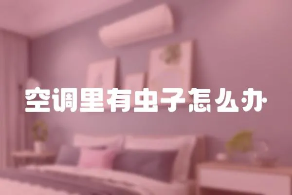 空調(diào)里有蟲子怎么辦