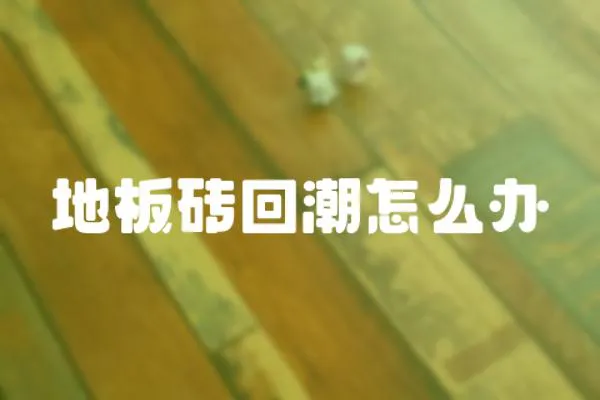地板磚回潮怎么辦