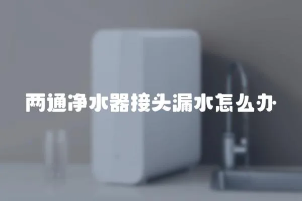 两通净水器接头漏水怎么办