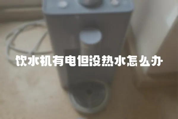 飲水機有電但沒熱水怎么辦