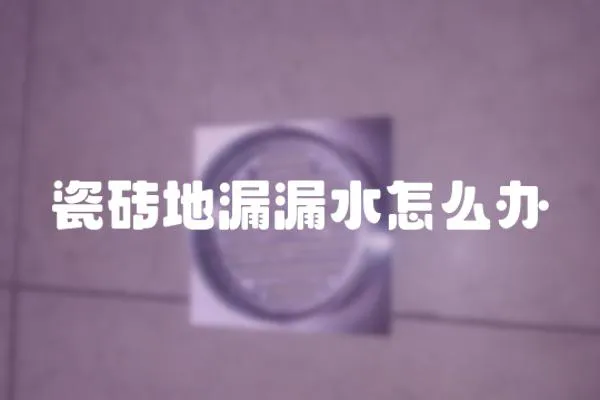 瓷磚地漏漏水怎么辦