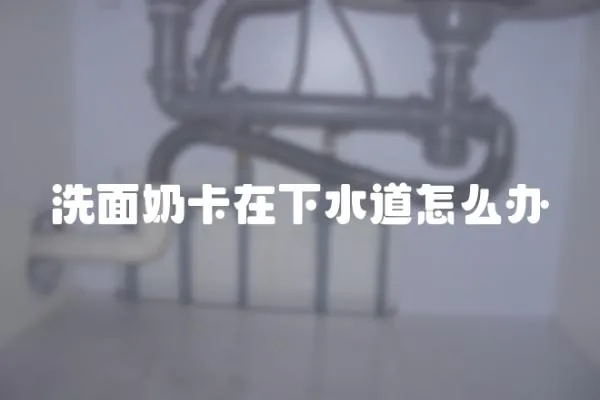 洗面奶卡在下水道怎么辦