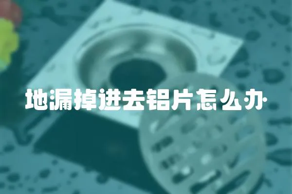 地漏掉進去鋁片怎么辦