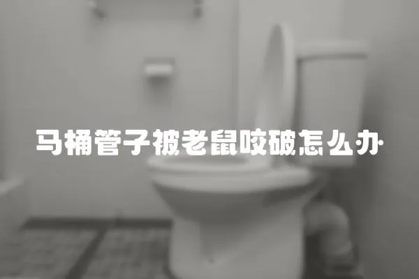 馬桶管子被老鼠咬破怎么辦
