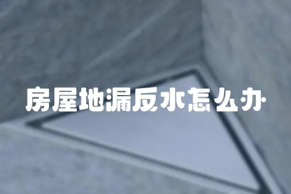 房屋地漏反水怎么辦