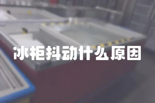 冰柜抖動什么原因