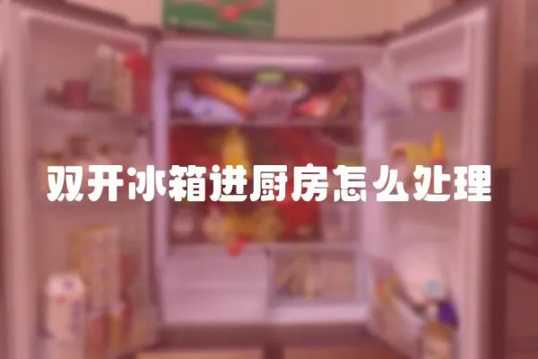 雙開(kāi)冰箱進(jìn)廚房怎么處理