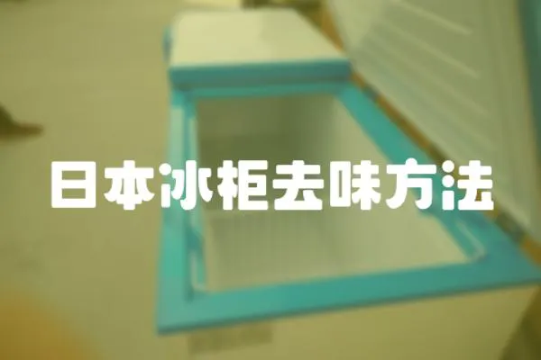 日本冰柜去味方法