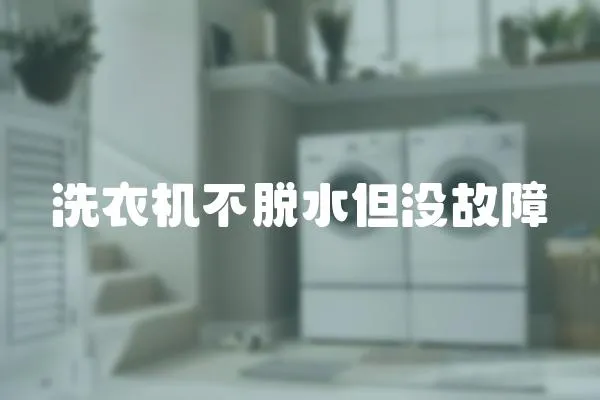 洗衣機不脫水但沒故障