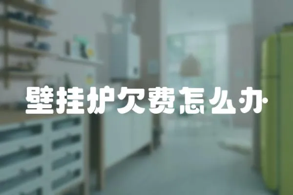 壁掛爐欠費怎么辦