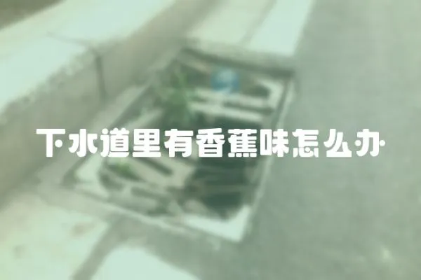 下水道里有香蕉味怎么辦