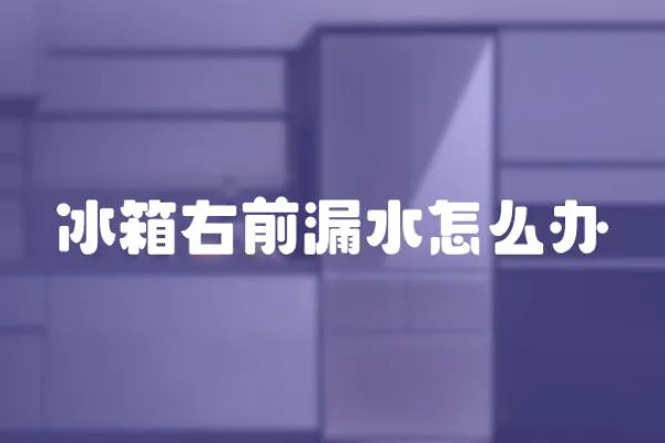 冰箱右前漏水怎么辦