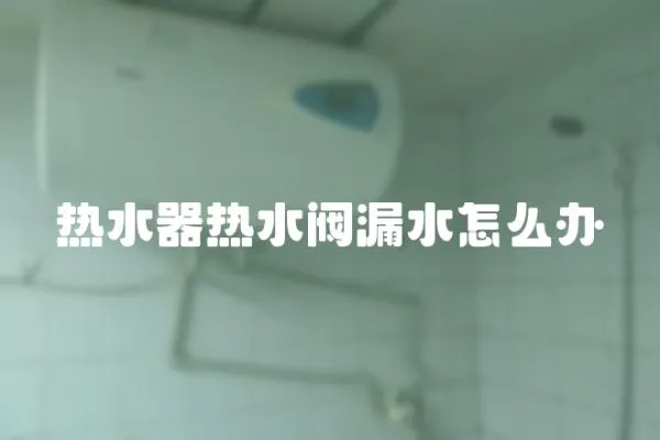 熱水器熱水閥漏水怎么辦