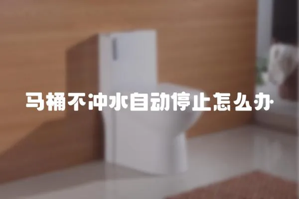 馬桶不沖水自動停止怎么辦