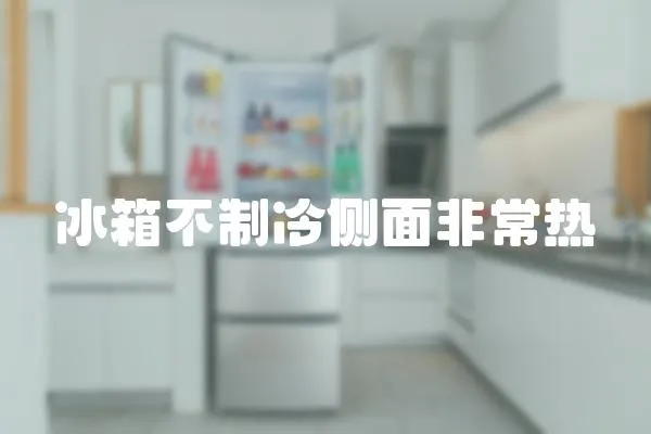 冰箱不制冷側面非常熱