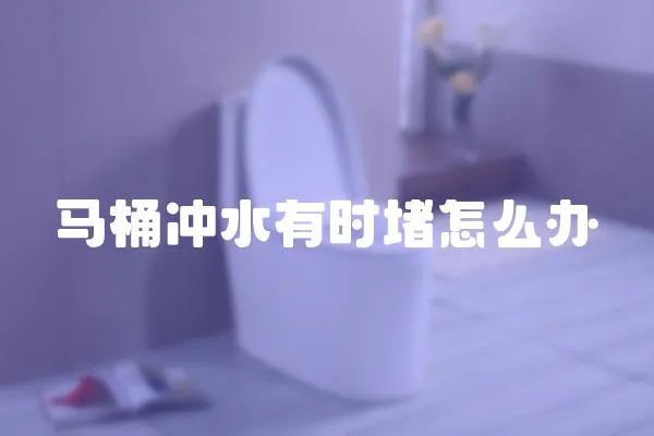 馬桶沖水有時堵怎么辦