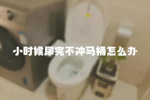小時(shí)候尿完不沖馬桶怎么辦