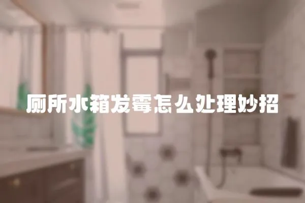 厕所水箱发霉怎么处理妙招