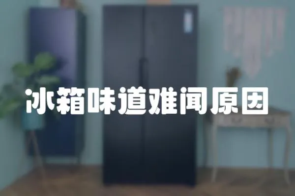 冰箱味道難聞原因