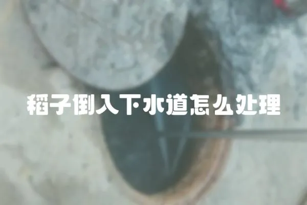 稻子倒入下水道怎么處理