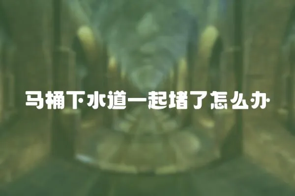 馬桶下水道一起堵了怎么辦