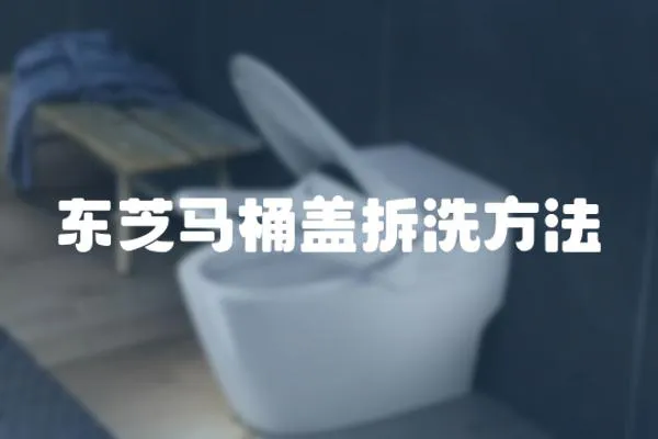 東芝馬桶蓋拆洗方法