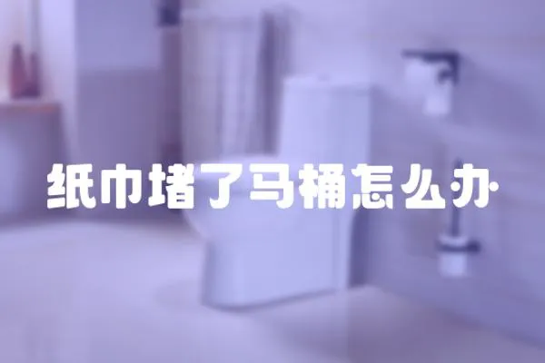 紙巾堵了馬桶怎么辦