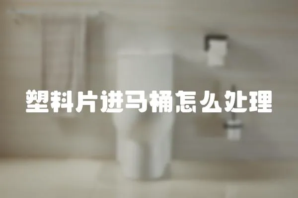 塑料片進馬桶怎么處理